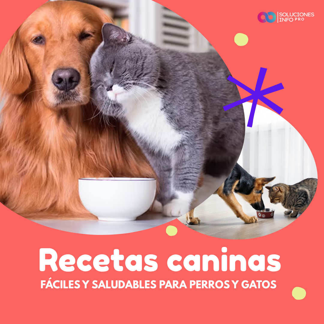 RECETAS CANINAS IMPERDIBLES